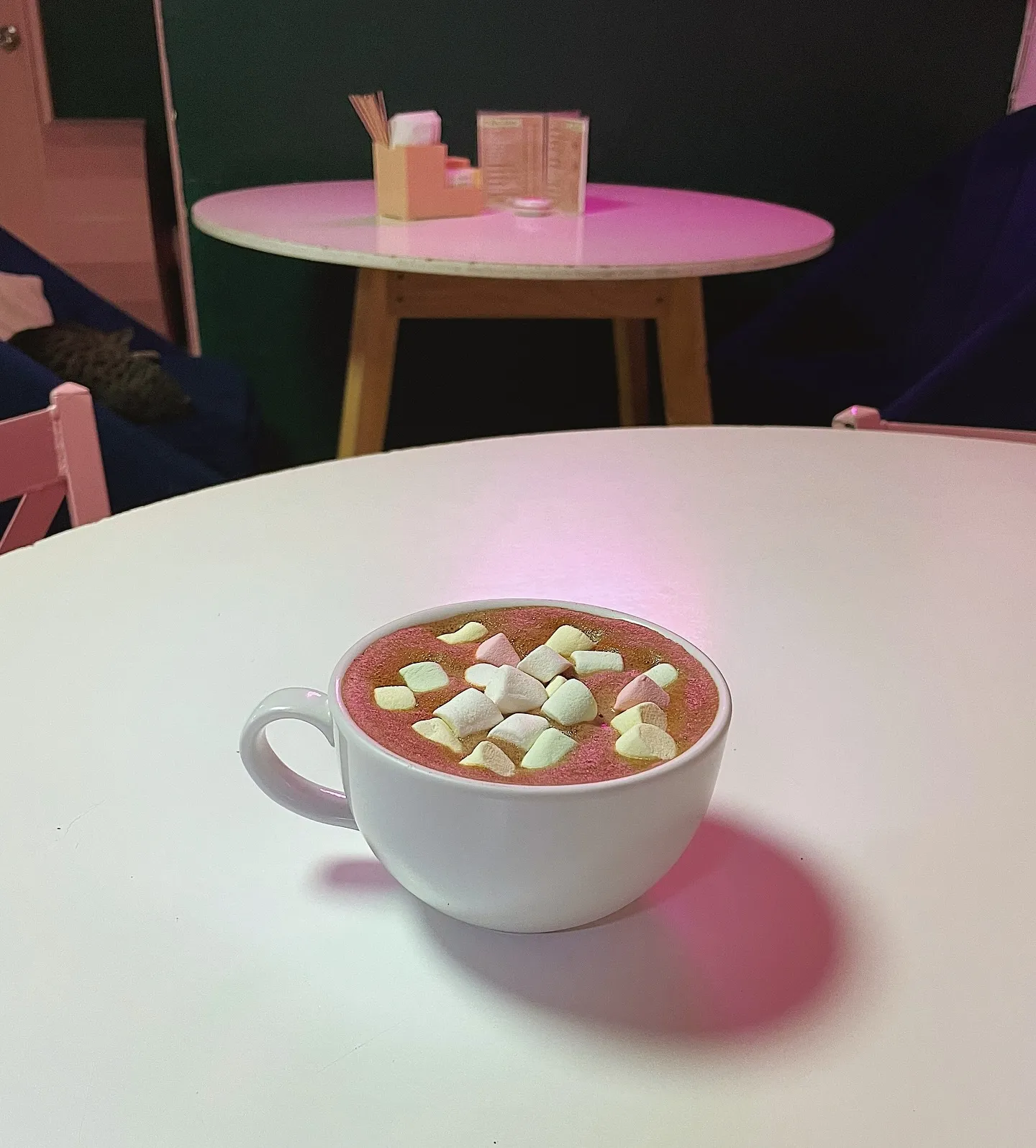 imagen de gato en cafetería