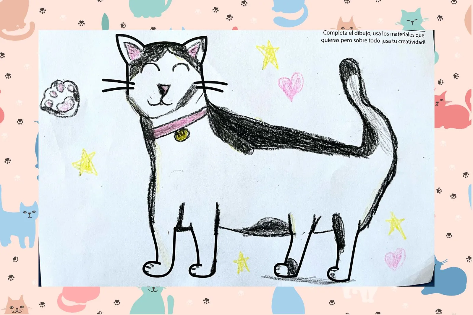 image of cat